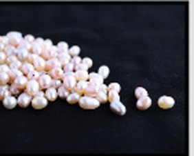 Freshwater Pearls